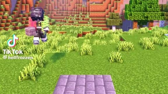 Minecraft/mini house