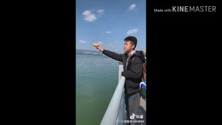 [Tổng hợp] Các thánh lầy từ trong trứng xD『Tiktok』
