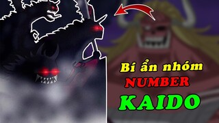 Bí ẩn đội quân Number khổng lồ của quân đoàn bách thú Kaido - Cơ hội nào cho Luffy