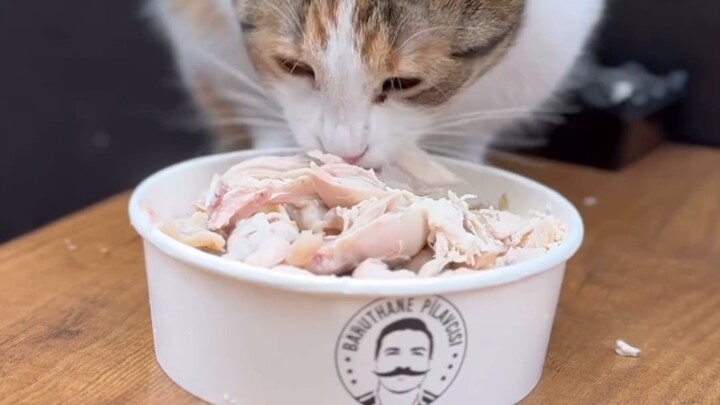 Blitz Blasts Jinx and Yuumi