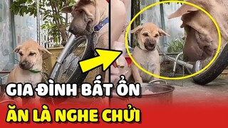 Gia đình BẤT ỔN: mỗi lần ĂN là NGHE CHỬI cả buổi 😅 | Yêu Lu