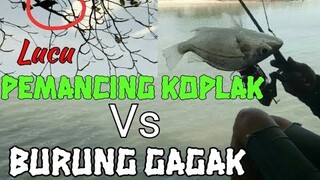 LUCU, Aksi Pemancing Koplak Vs Burung Gagak bikin ngakak