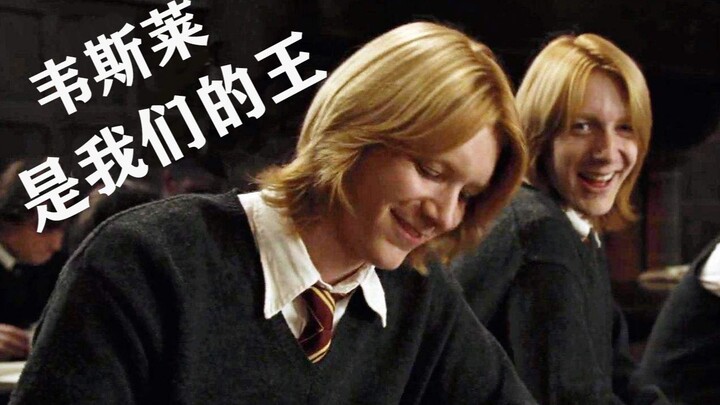 【HP/高燃/踩点/韦斯莱】“韦斯莱是我们的王！”（全程高能！！！！