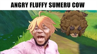 Angry fluffy Sumeru cow | Genshin Impact Meme