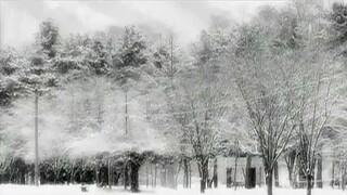 WINTER SONATA Ep 11 (Tagalog Dubbed)