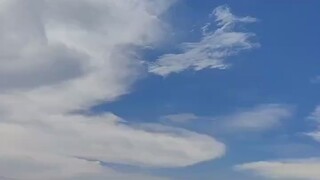 努力
