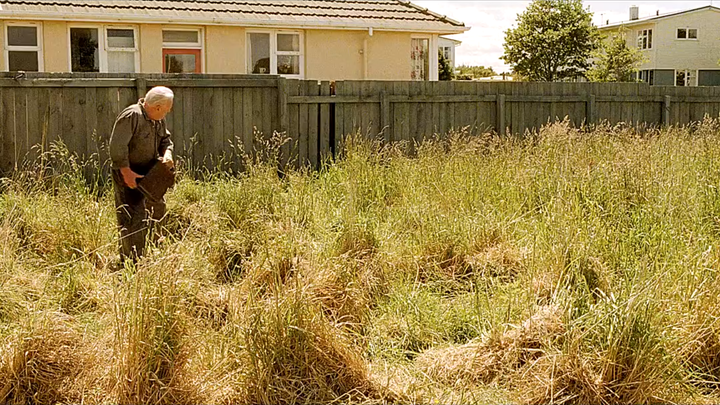 Nếu một người không có lý tưởng, người đó giống như một loại rau.