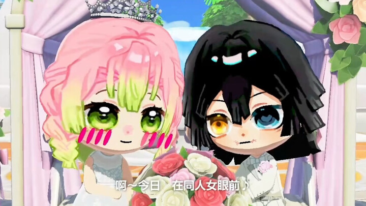 [Human Life] The snake couple who fell in love on the island after sixty days has finally gotten mar