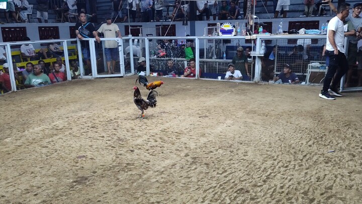 2nd Fight Win (Champion)