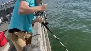 这都没断？不科学吧……