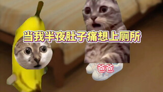 当我半夜肚子痛想上厕所