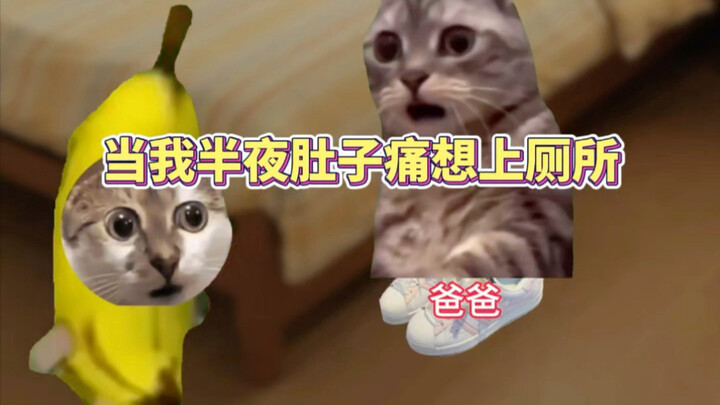 当我半夜肚子痛想上厕所