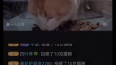 The Episode Where Cat Brother Feels the Most Full