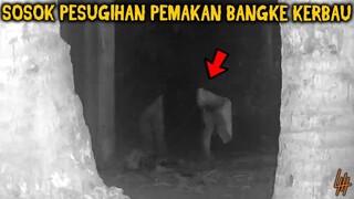 🔴 564- RIBUAN DEDEMIT PESTA BERGOYANG BERSAMA | UJI NYALI