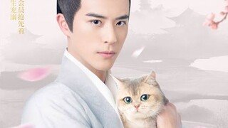 I'm a pet at dali temple Ep8