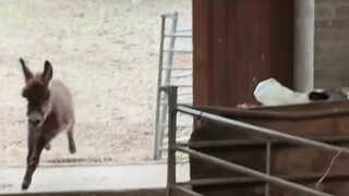 越着急越容易出错