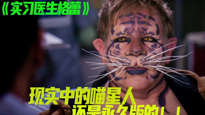 Medical Story: A Real-Life Cat Star—And a Permanent One at That! The Doctor’s Reaction Had Me ROFL!