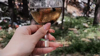 Forgotten plastic cigarette butts