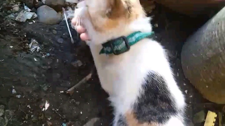 Coffee and I can get a job and'w for you guys to help me!