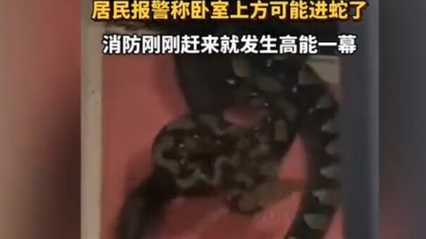 Nếu đây là nhà tôi thì nhà tôi thành nhà của nó mất rồi