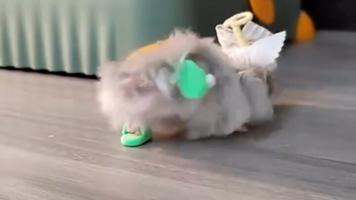I have slippers to wear too.