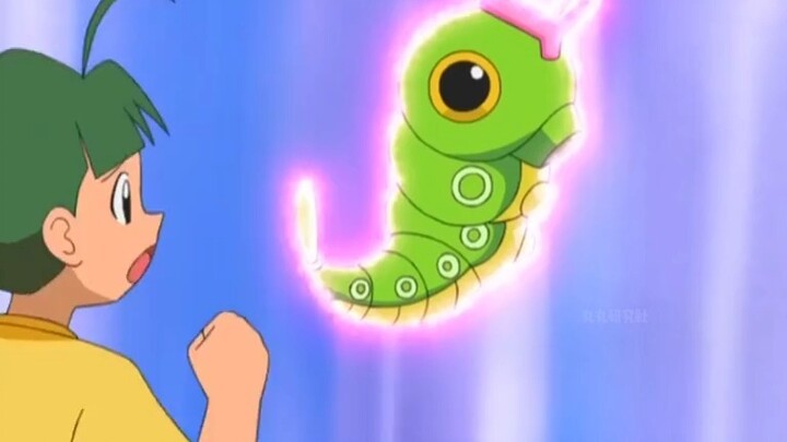 Marula, Caterpillar evolves into Rayquaza! !?