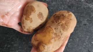 Berbagi satu hidangan yang tampak mahal tetapi sebenarnya hanya berharga 1 yuan.