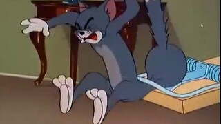 Buka CET-4 Bahasa Inggris 2019 dengan kucing dan tikus