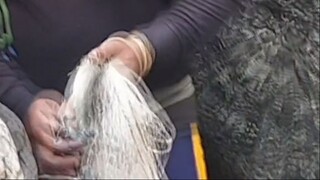 fishing in Nepal | himalayan trout fishing in Nepal | cast net fishing in Nepal |
