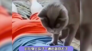 Layanan Khas Penginapan Kecil di Jepang