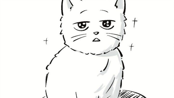 [Yingui] Wig, am I fat?