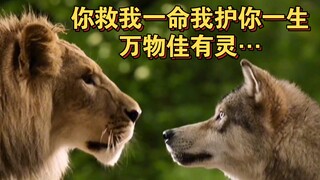 คุณช่วยชีวิตผมไว้ ผมจะปกป้องคุณตลอดไป ทุกสิ่งล้วนมีจิตวิญญาณ... "หมาป่าและสิงโต"