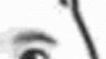 How come the Y chromosome is gone? Warning for new anime in October