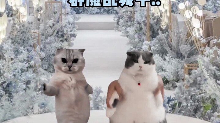 当00后结婚