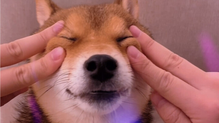 Last dance benar-benar membuatku terpana, sungguh tak ingin mengucapkan selamat tinggal!