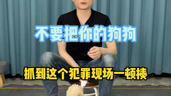 อย่าไปจับเจ้าตูบของคุณตอนมันทำผิดแล้วลงโทษทันทีนะ พอสุนัขทำผิด หลายคนก็มักจะอุ้มมันไปยังจุดเกิดเหตุแ