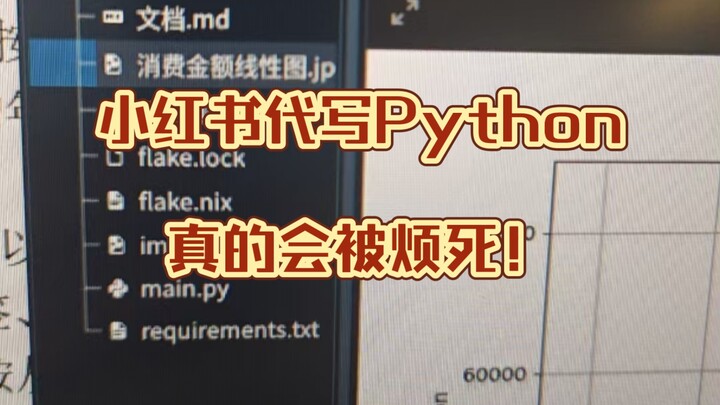 Jangan menerima jasa pembuatan kode Python di Xiaohongshu, karena kamu bakal dibuat gila oleh banyak