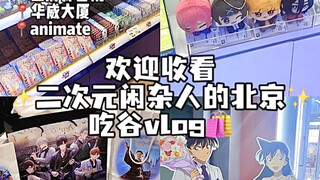 二次元闲杂女携现充男友的北京吃谷vlog！