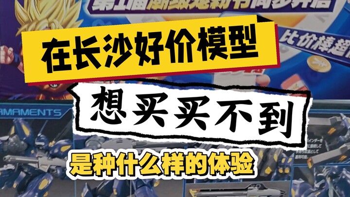在长沙好价模型想买买不到是种什么样的体验