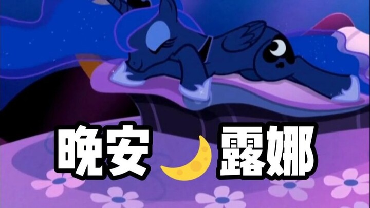 学会放过自己🌙