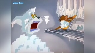 Tình bạn diệu kỳ của Tom và Jerry