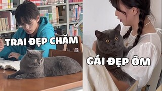 Mang HOÀNG THƯỢNG đi học có gì vui ? | Pets TV