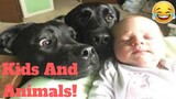 Funniest Pets Meet The Cutest Kids And Babies Weekly😂 of 2019| Funny Animal Videos👌