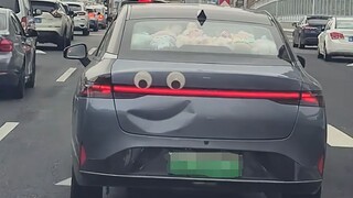 The car owner must be a really interesting person!