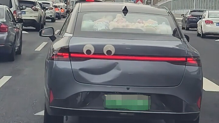 车主一定是个很有趣的人吧！