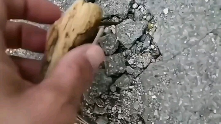 Pengumuman resmi: Kalau nggak punya bakteri seni, beneran susah dapetinnya!