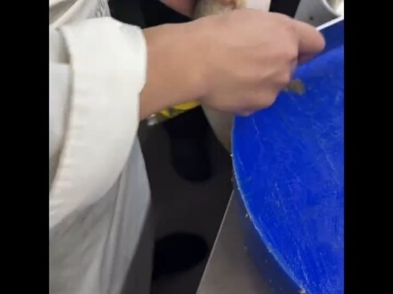 Cá: Con người này còn hiểu cơ thể tôi hơn cả tôi nữa!