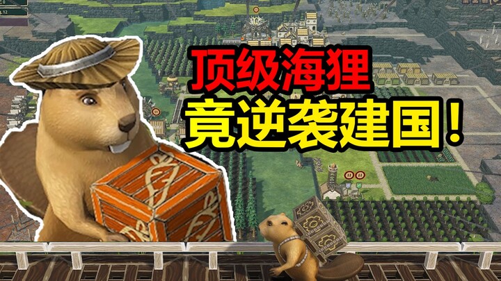 Loài hải ly đỉnh cao! Giữa hành trình trốn chạy, lại lật ngược thế cờ thành lập quốc gia! 【Hải ly ph