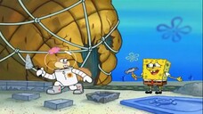 Spongebob bahasa Indonesia s8 | rumah Spongebob layu