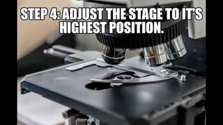 S11156848 BI108 Microscopy video